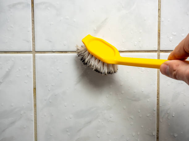 Best Same-Day Mold Removal  in Sedro Woolley, WA