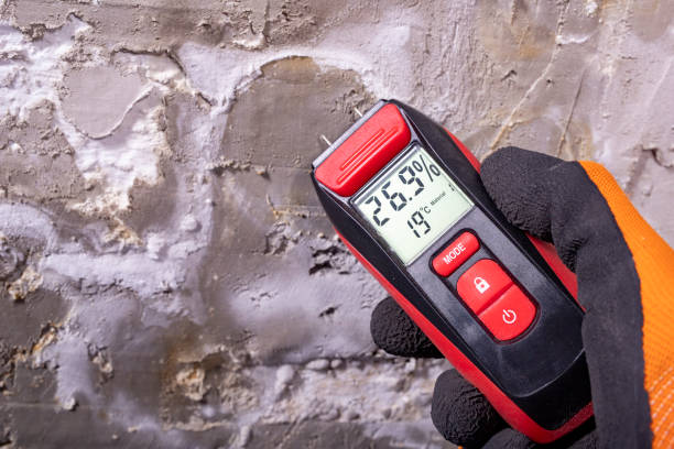 Best Mold Remediation Experts  in Sedro Woolley, WA